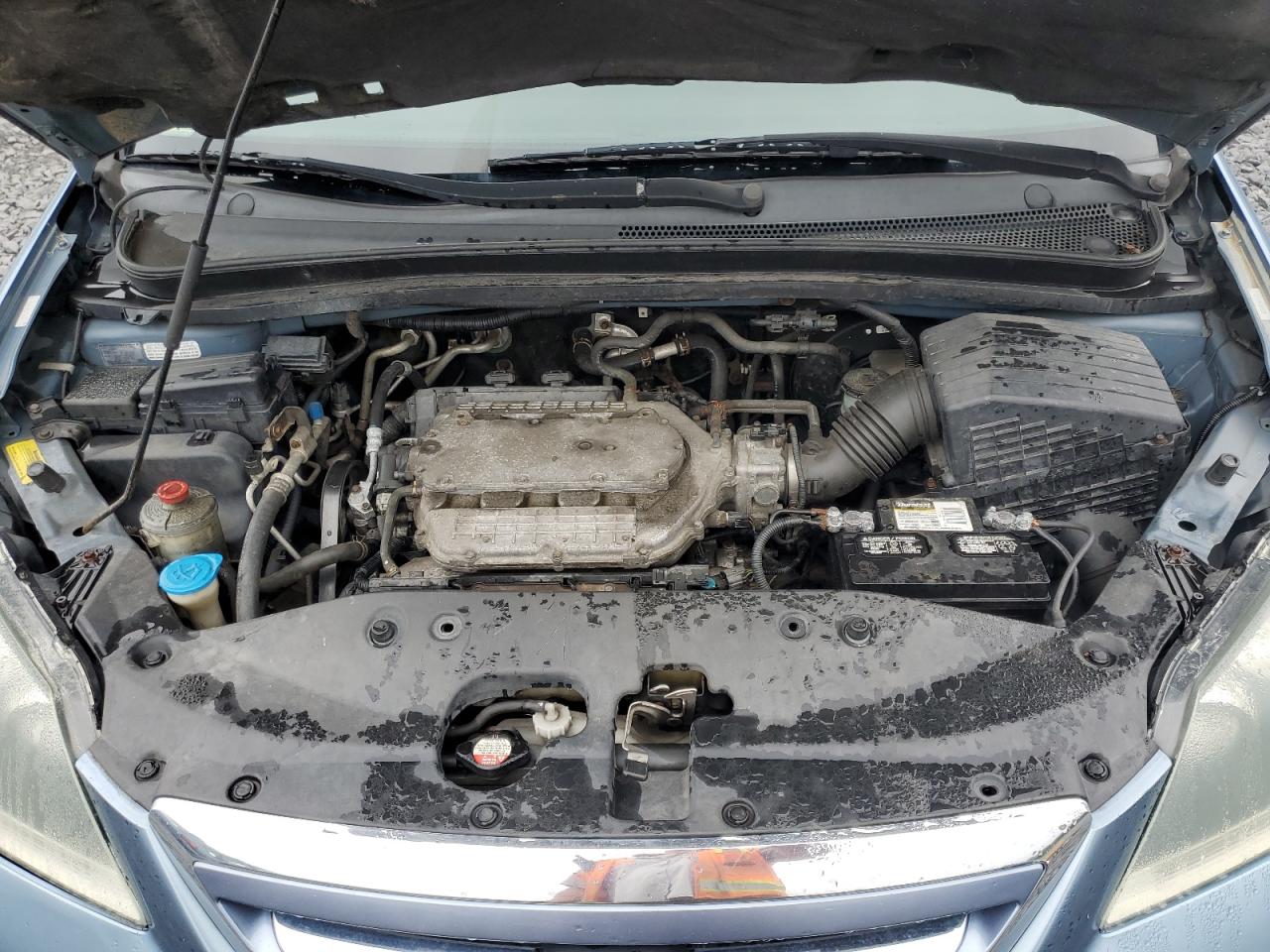 2006 HONDA All Models