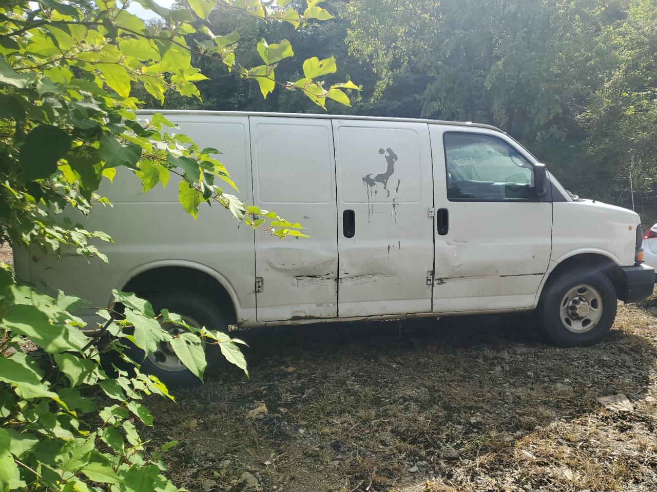 2013 CHEVROLET EXPRESS