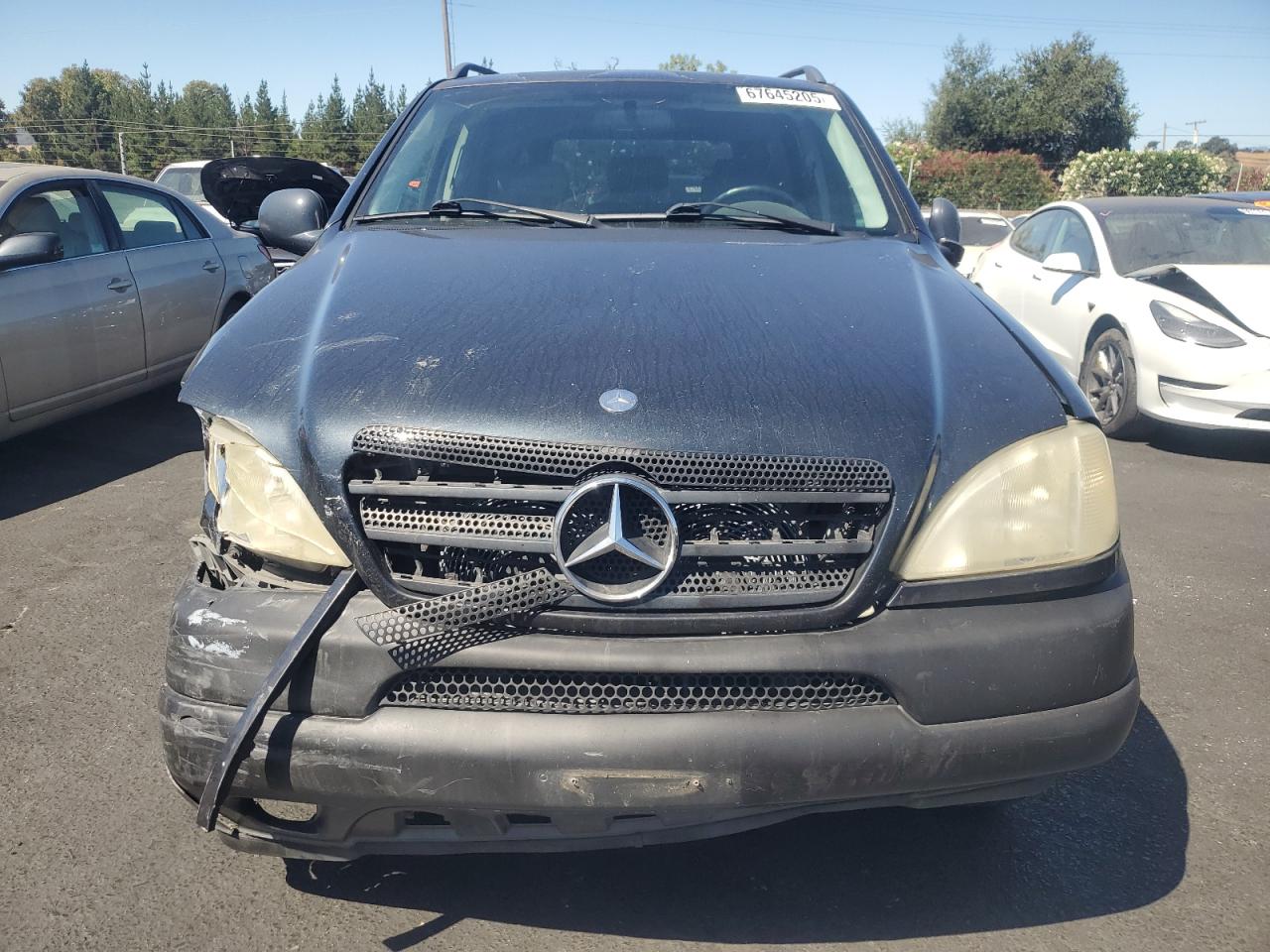 1999 MERCEDES-BENZ M-CLASS