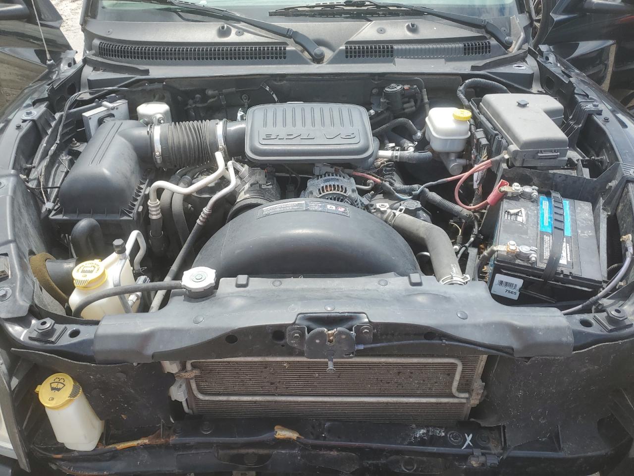 2006 DODGE DAKOTA