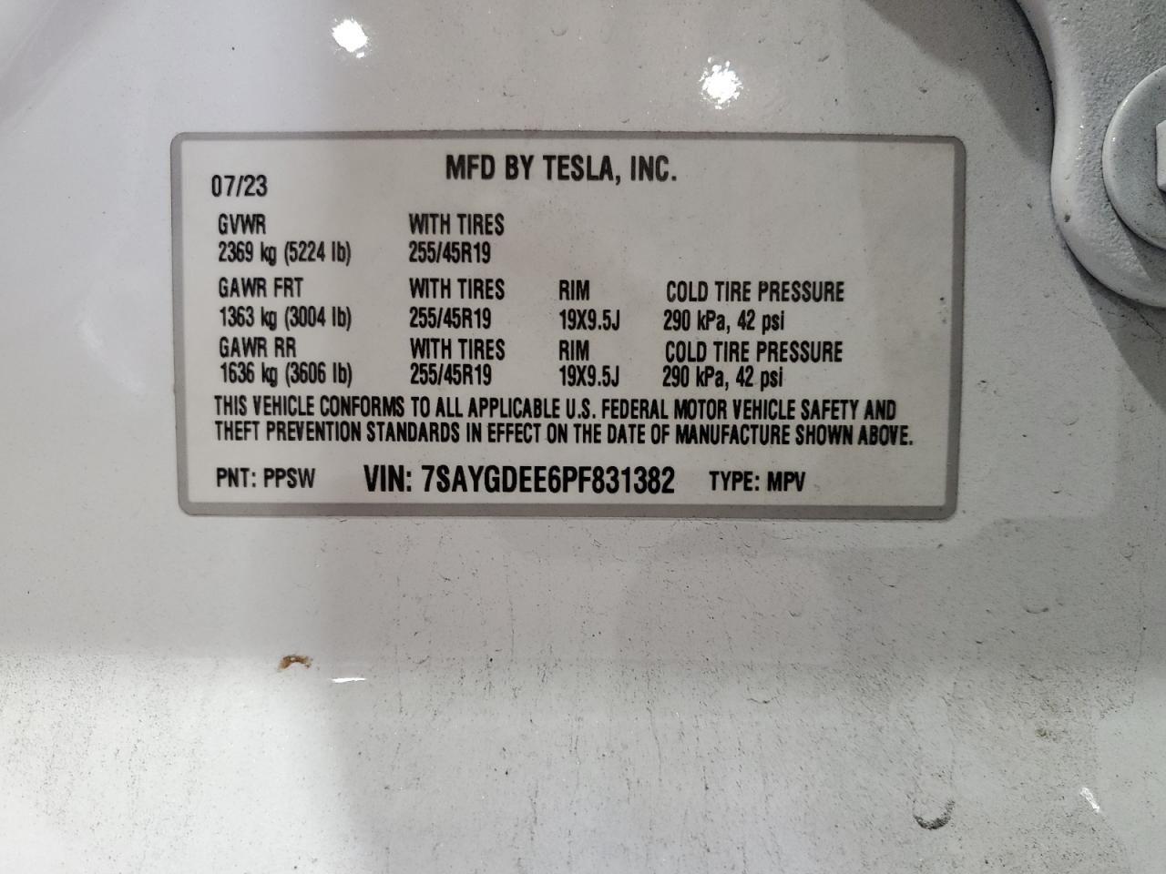 2023 TESLA MODEL Y
