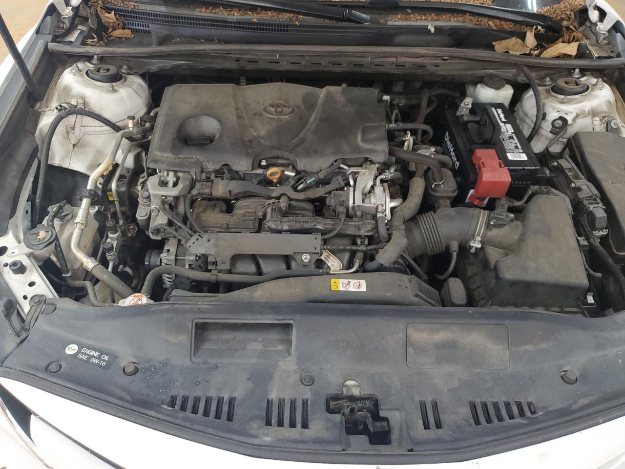 2019 TOYOTA CAMRY