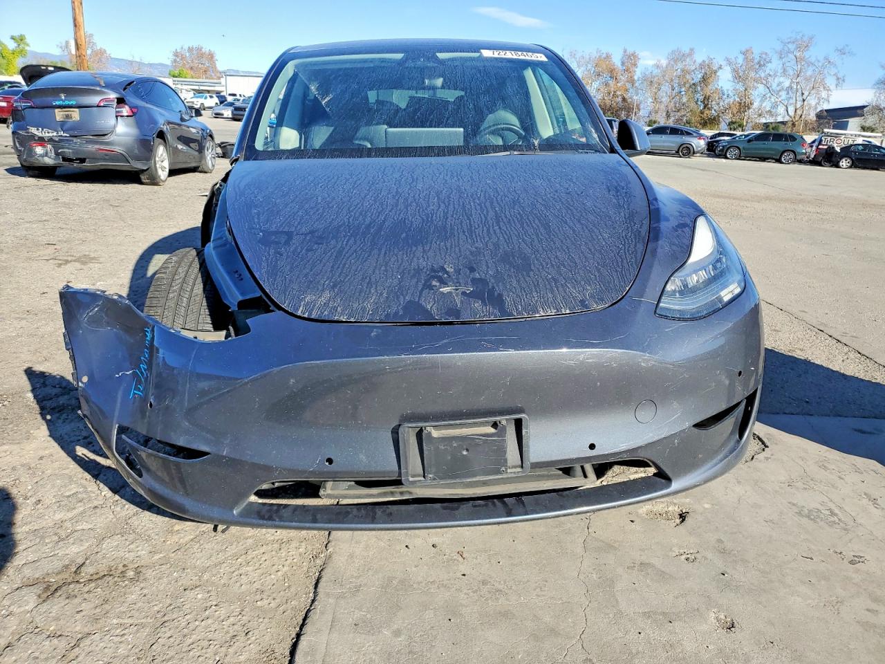 2021 TESLA MODEL Y