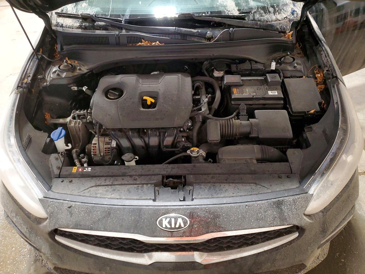 2019 KIA FORTE
