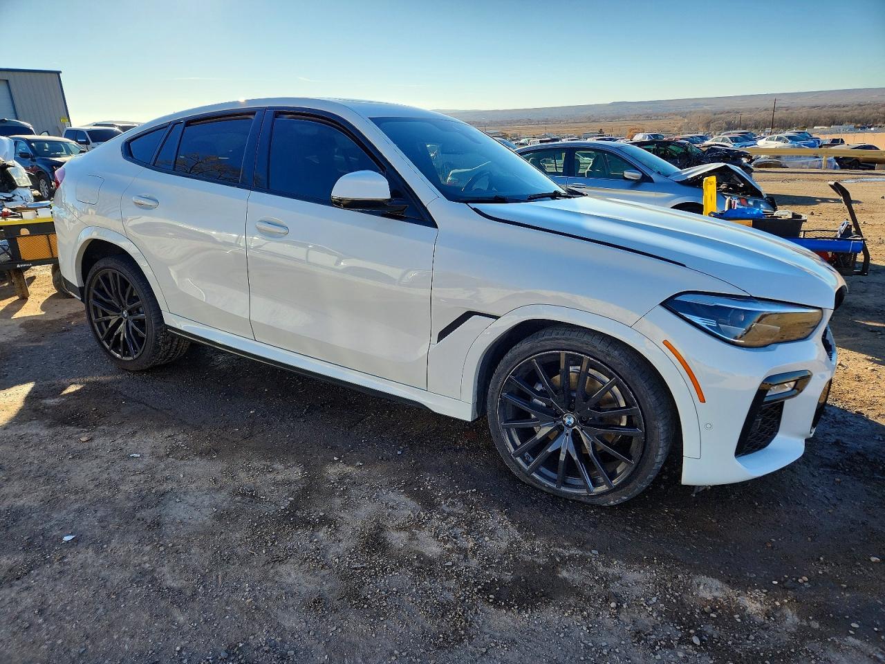 2020 BMW X6