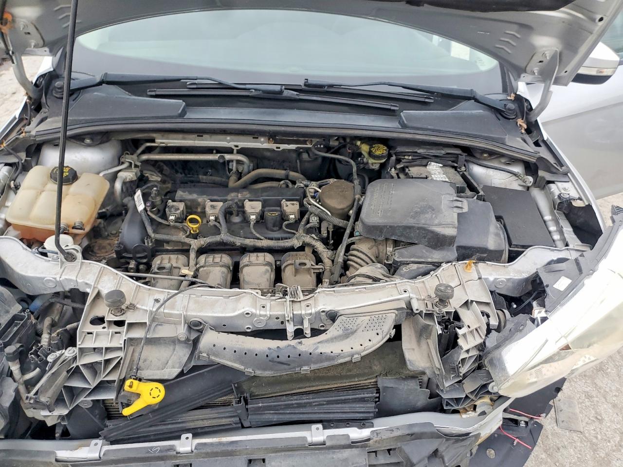 2016 FORD FOCUS