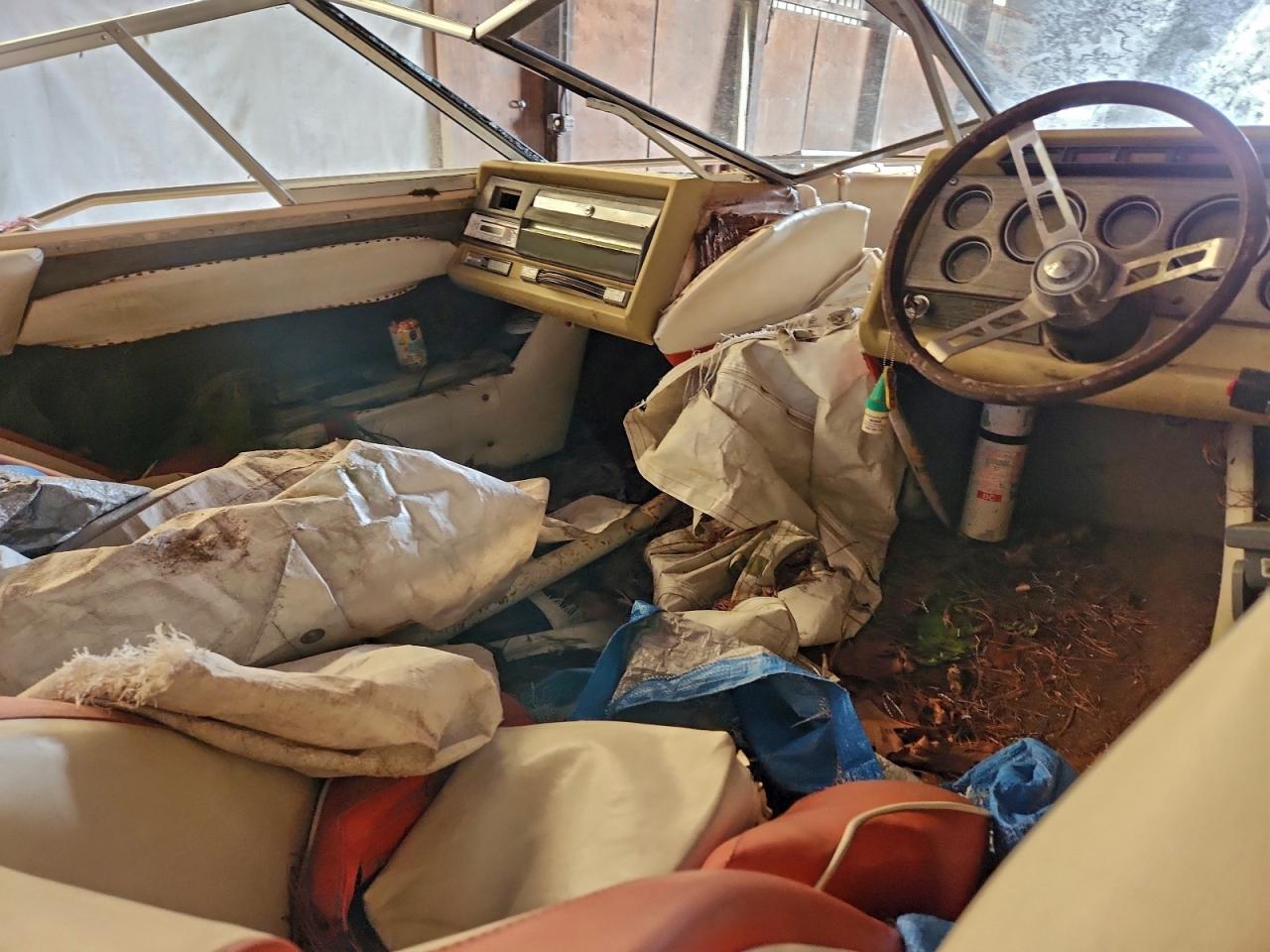 1981 GLASTRON BOAT