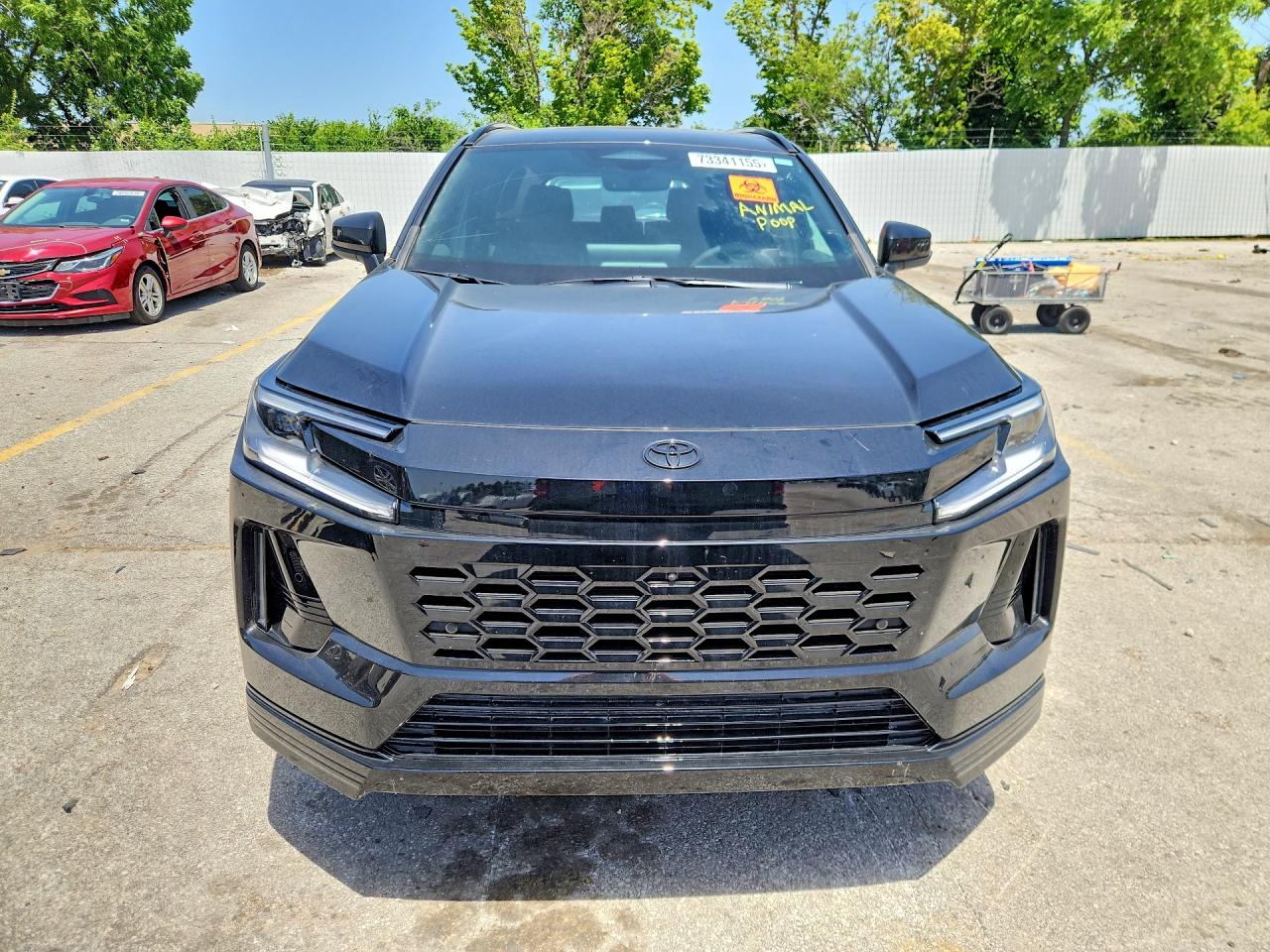 2026 TOYOTA RAV4