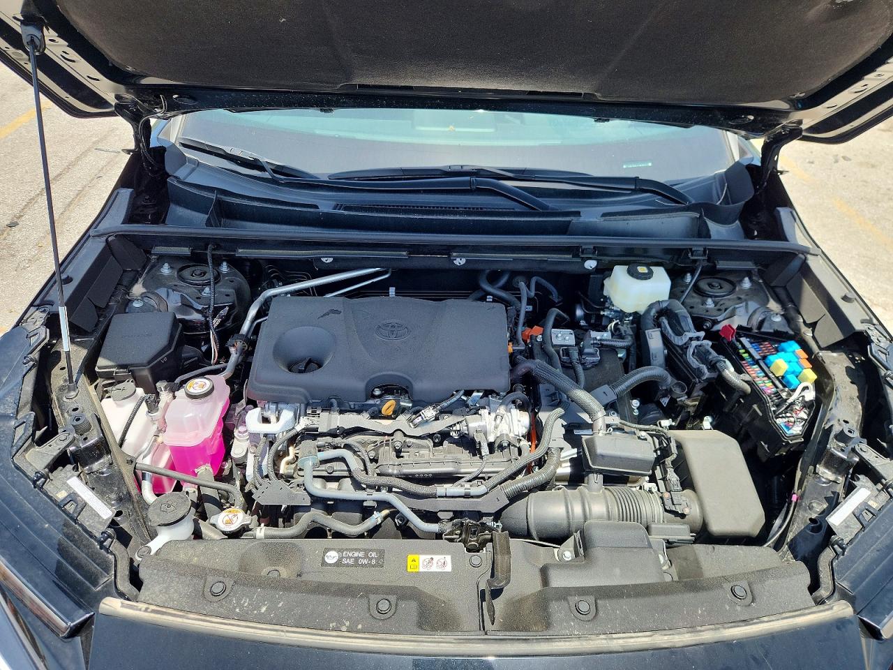 2026 TOYOTA RAV4