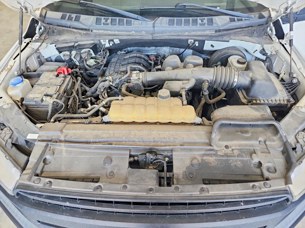 2019 FORD F150