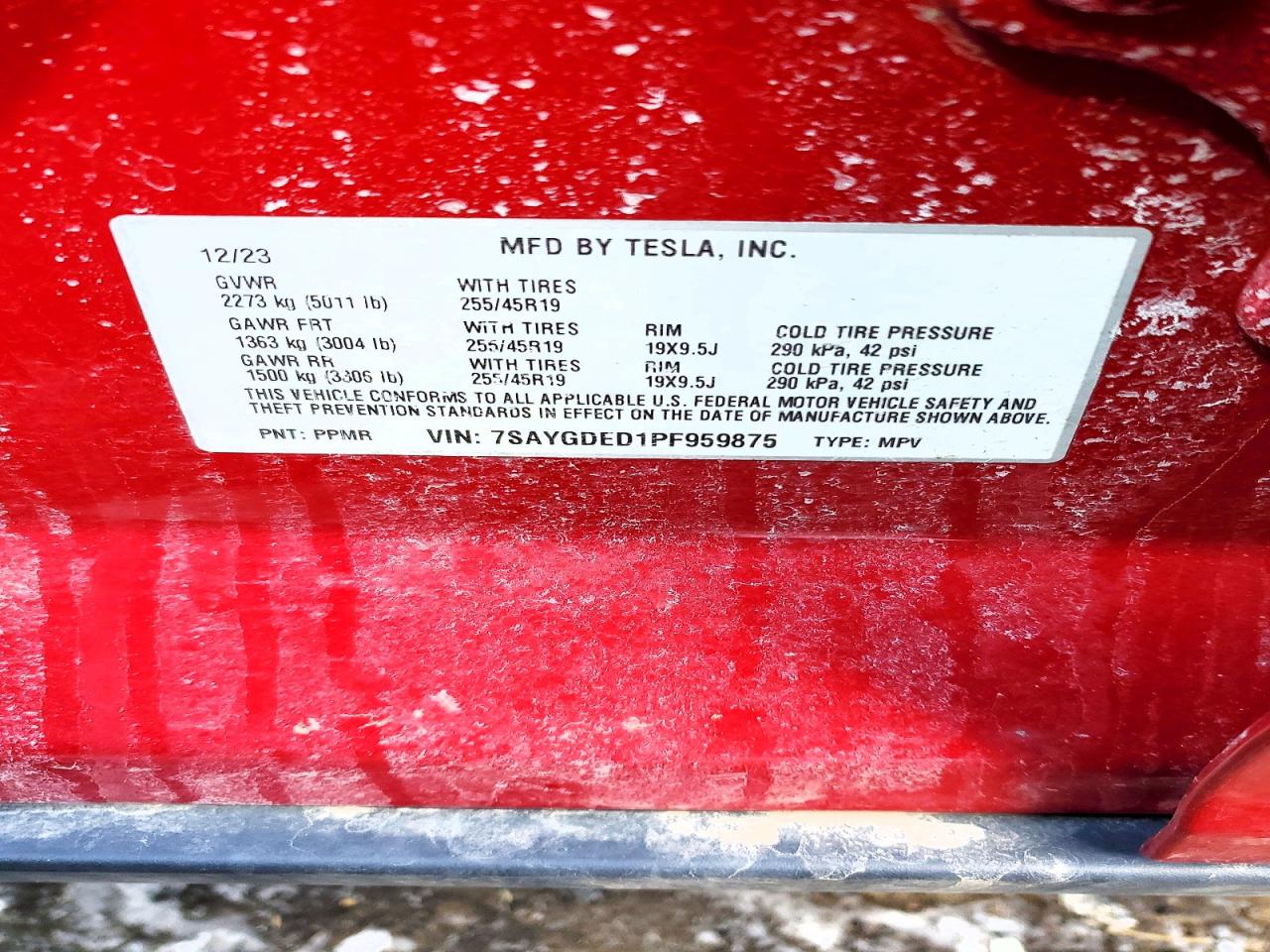 2023 TESLA MODEL Y
