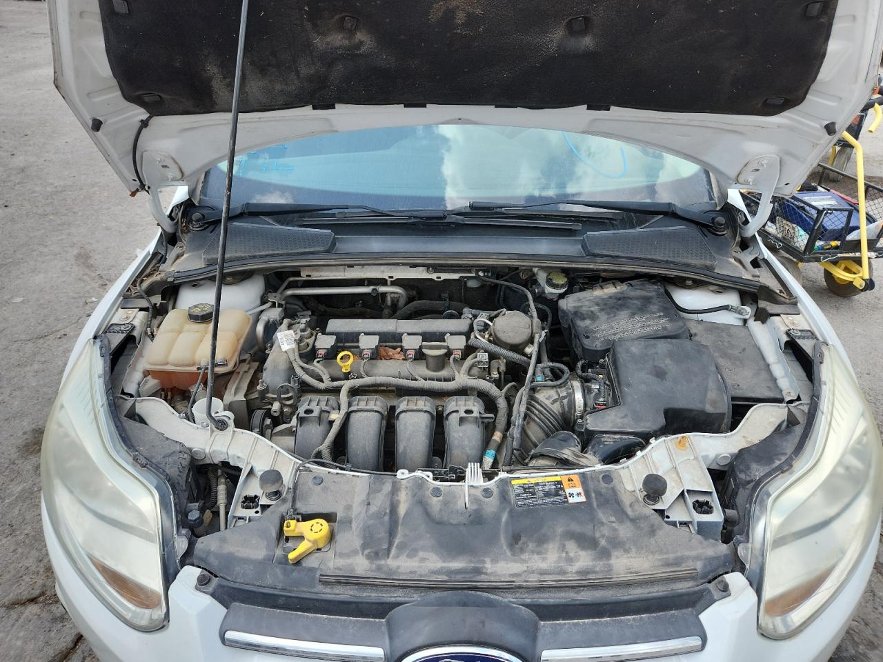 2014 FORD FOCUS