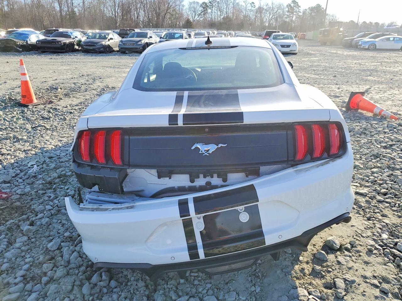 2022 FORD ALL Models