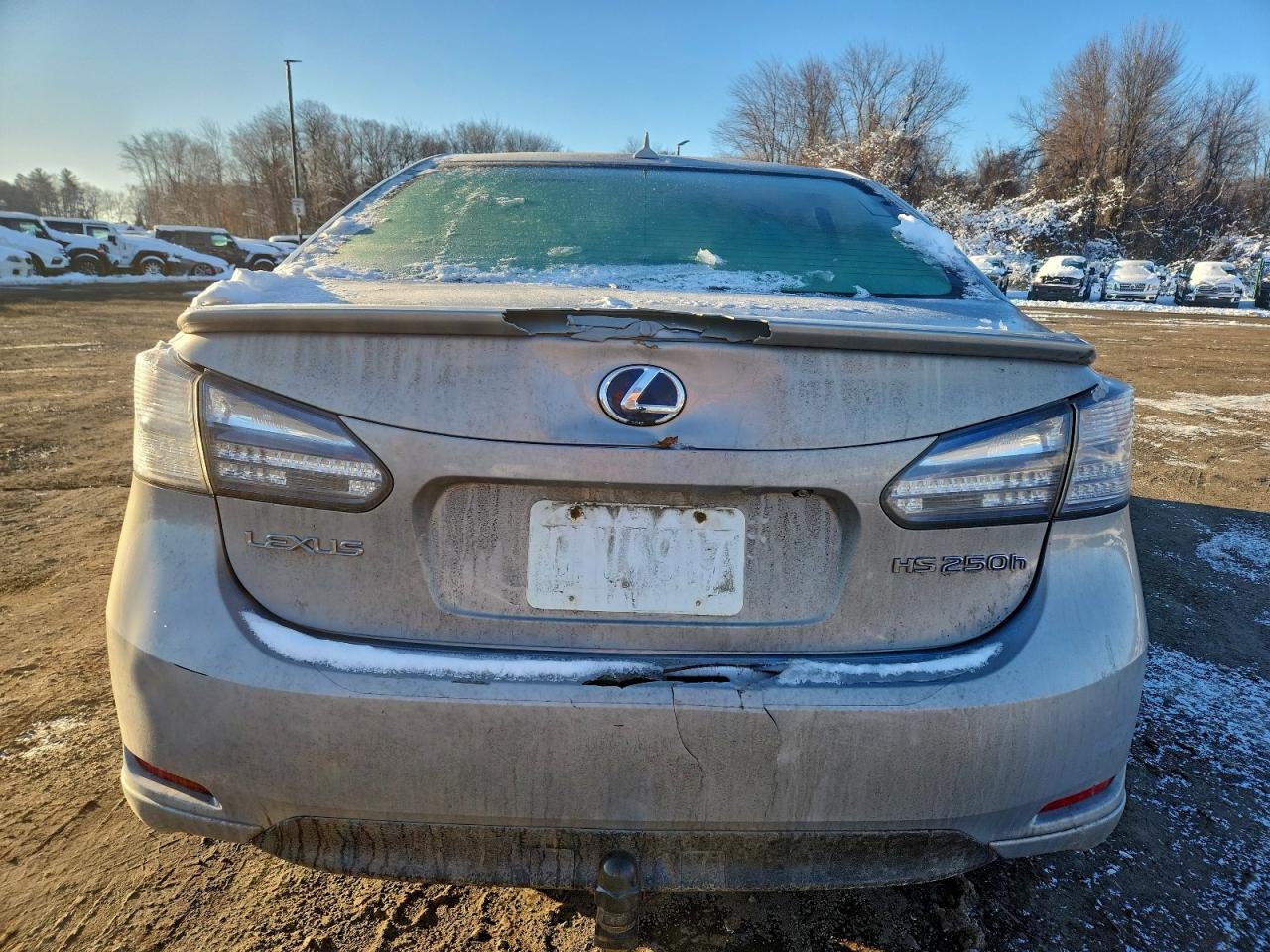2010 LEXUS HS