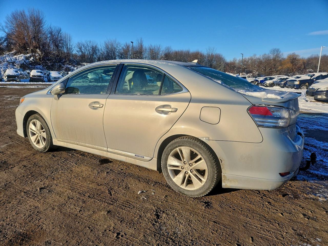 2010 LEXUS HS