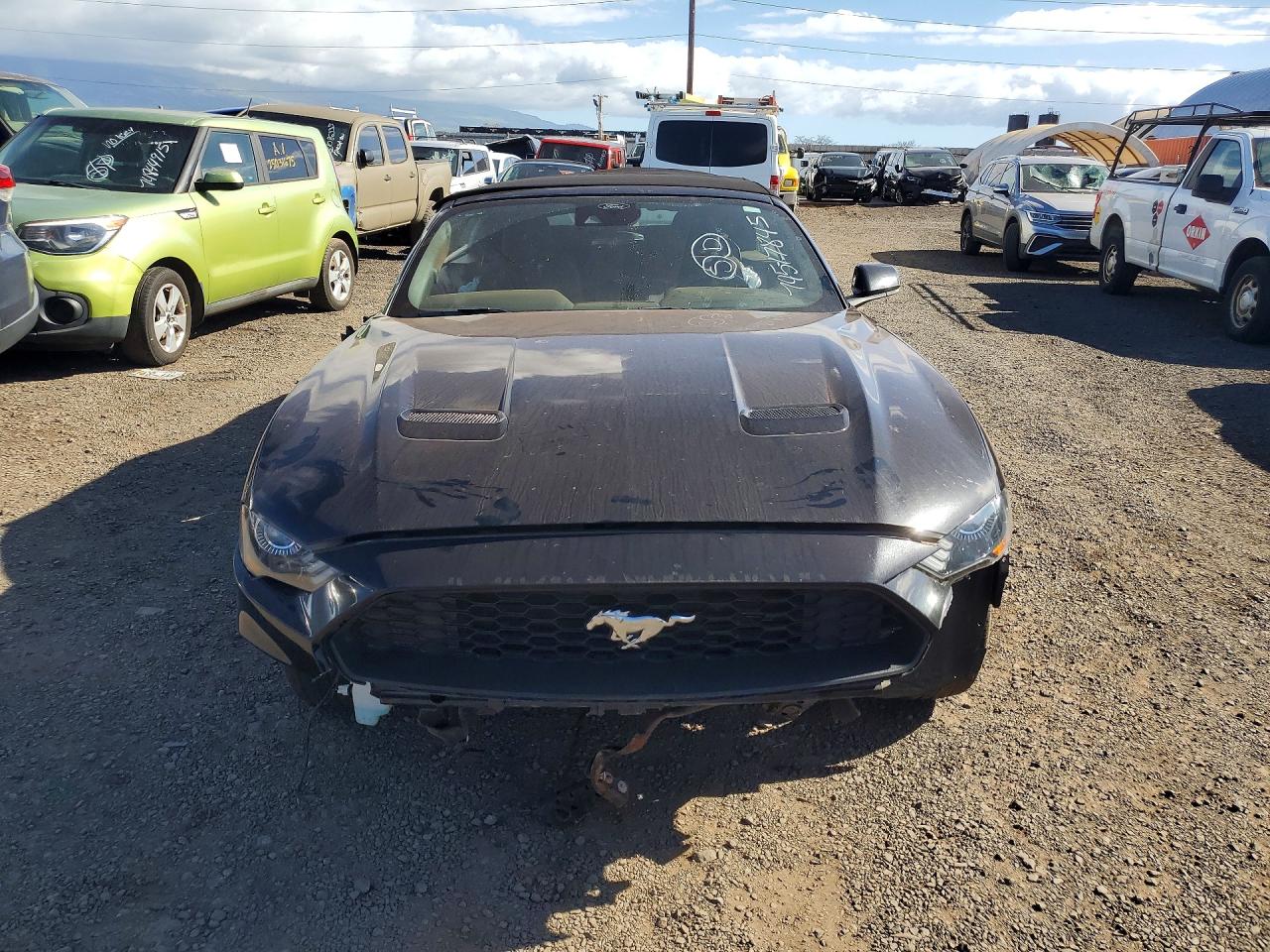 2023 FORD ALL Models
