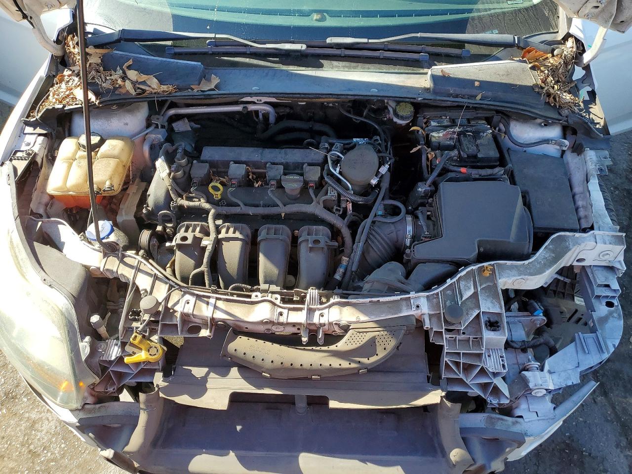 2013 FORD FOCUS