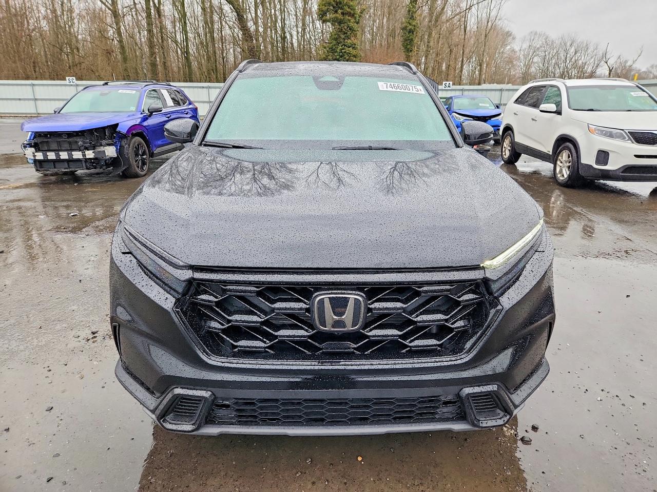 2024 HONDA CRV