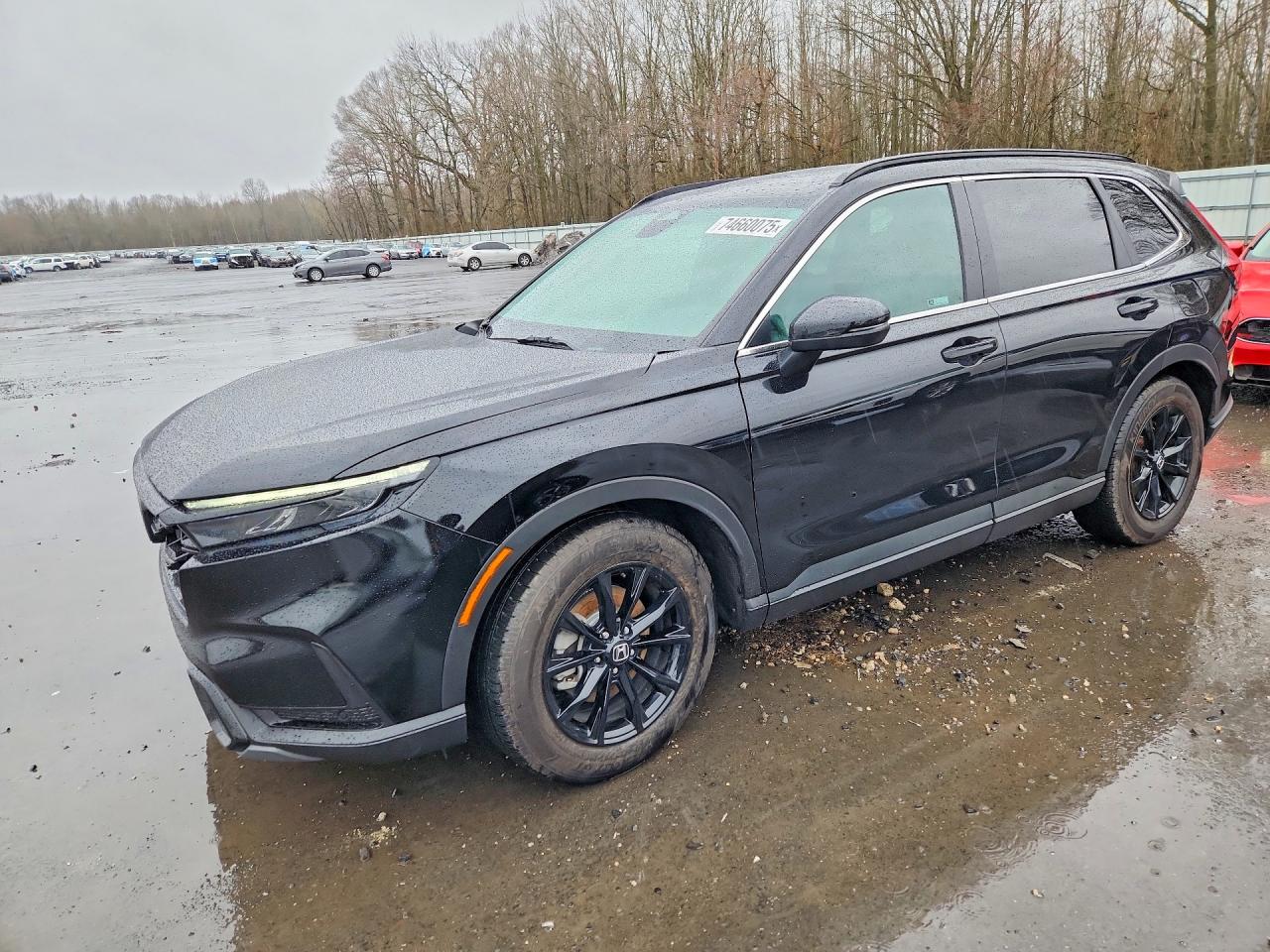 2024 HONDA CRV