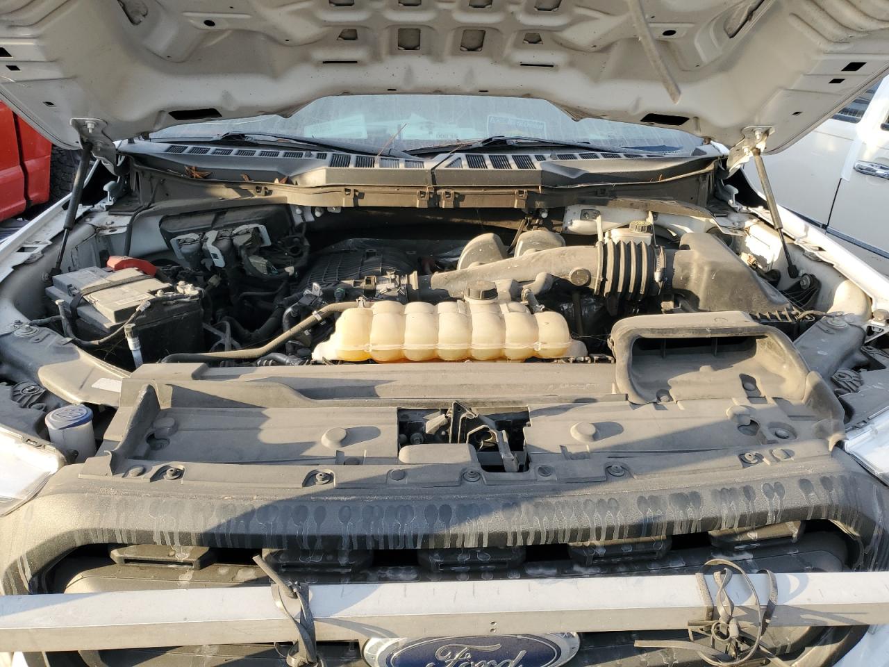 2021 FORD All Models