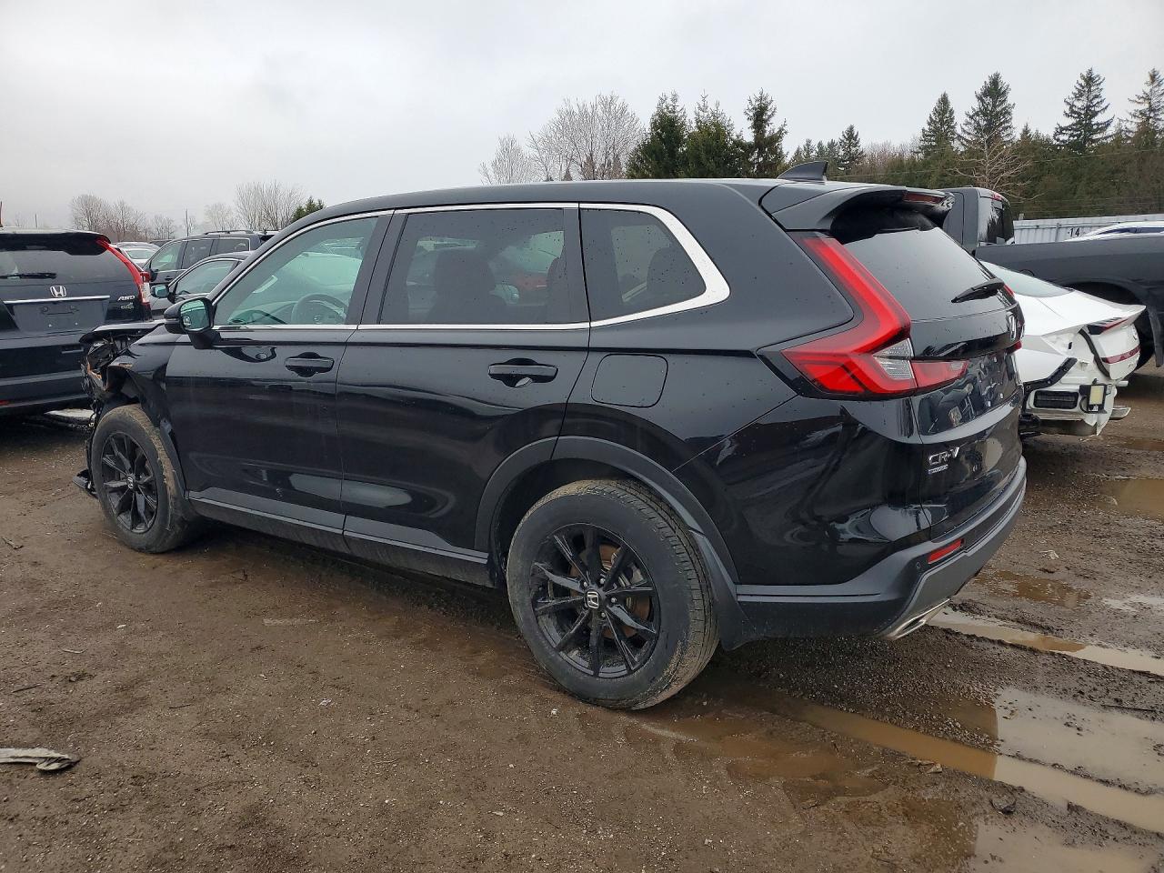 2024 HONDA CRV