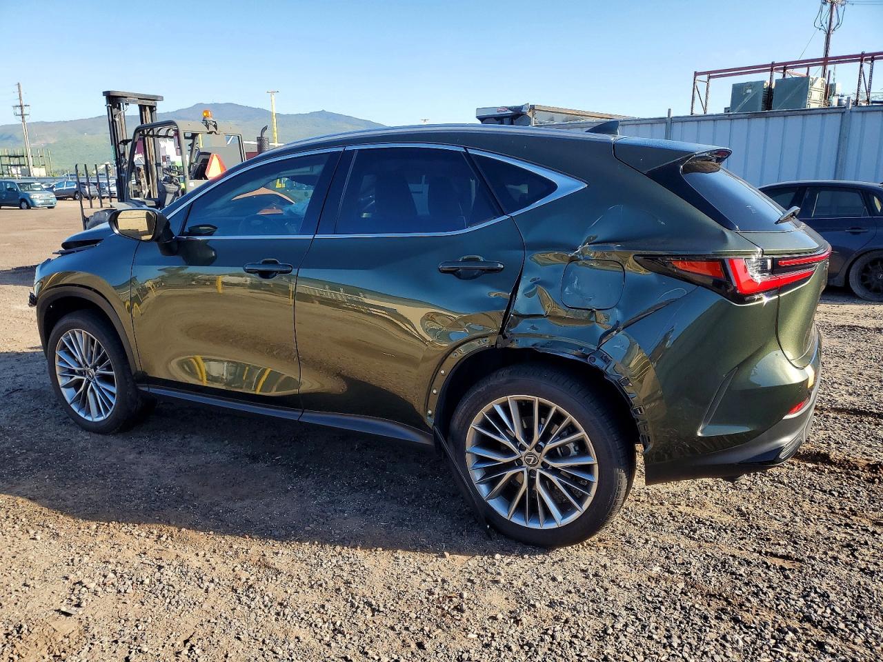 2025 LEXUS NX 350H BA