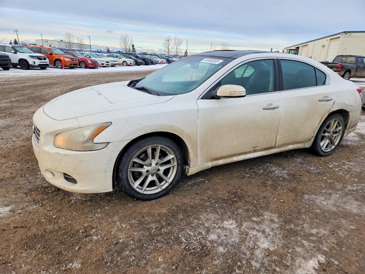 2009 NISSAN MAXIMA