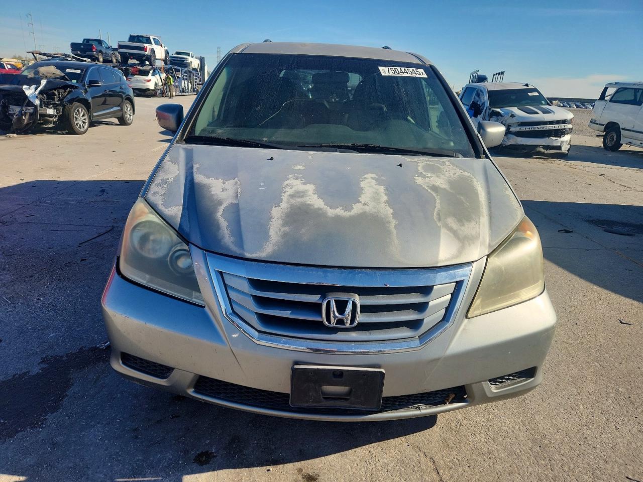 2010 HONDA All Models