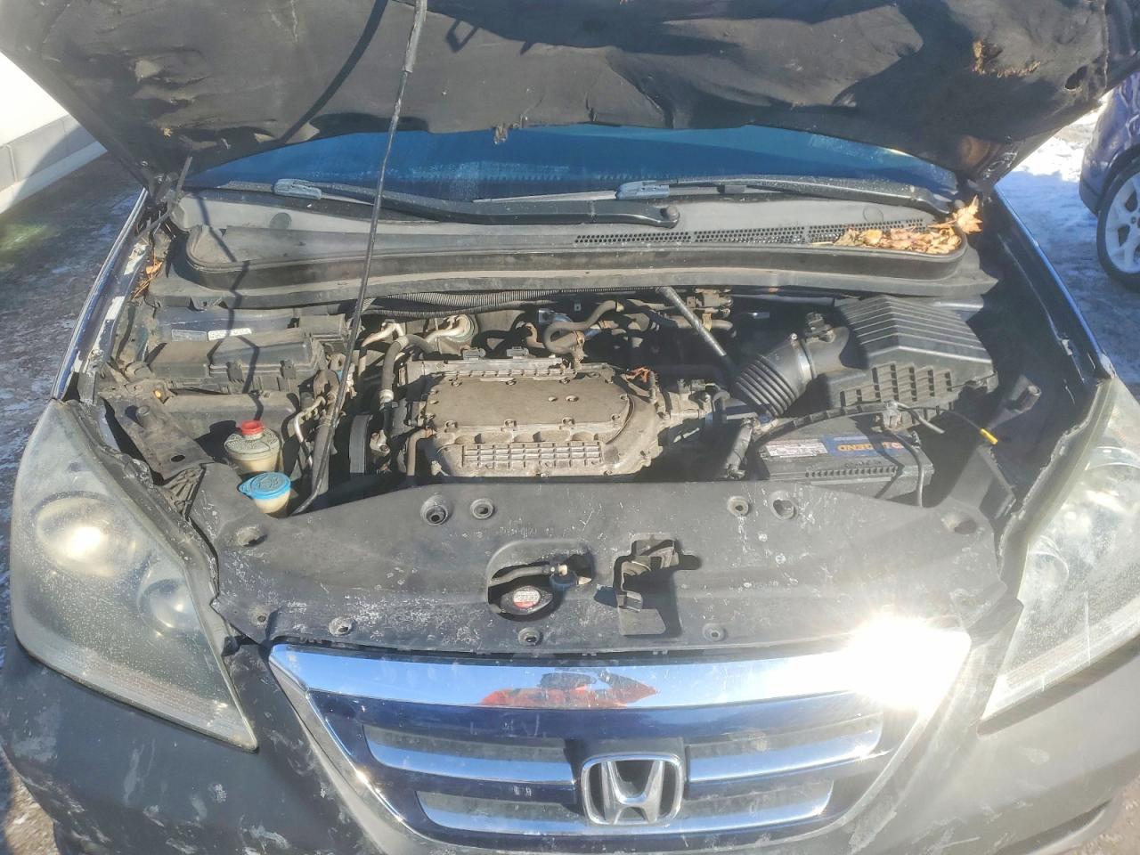 2007 HONDA All Models