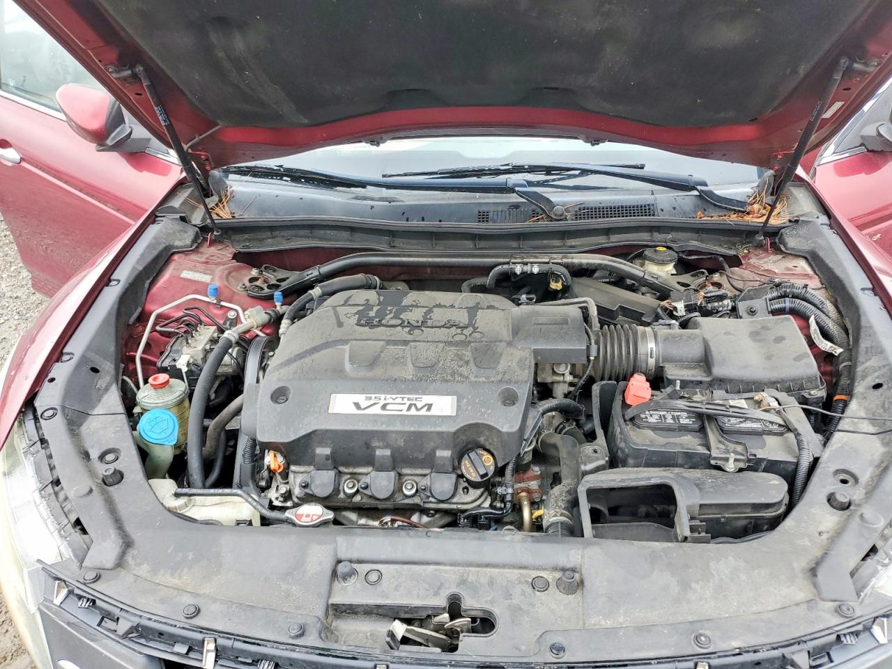 2010 HONDA ACCORD