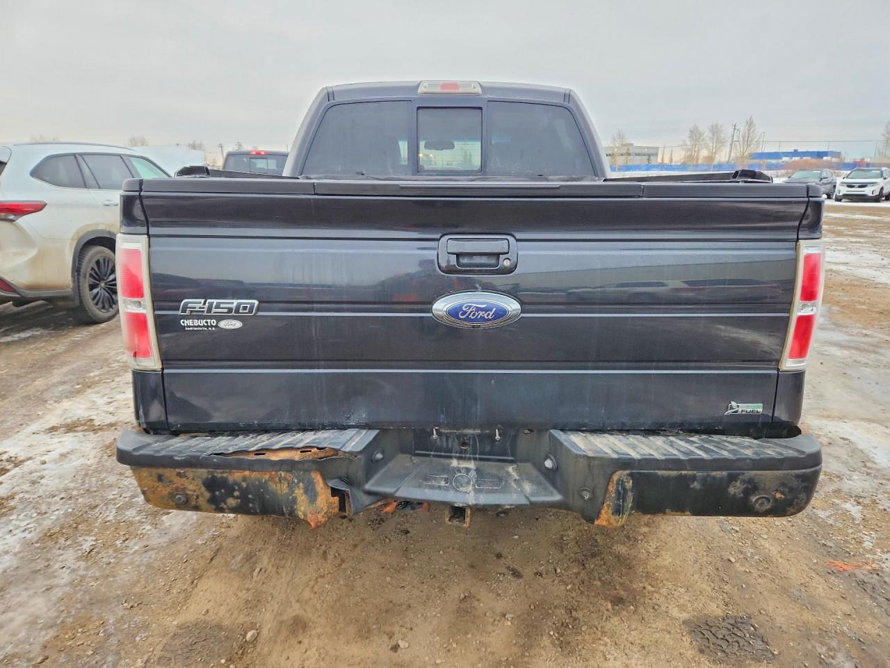 2010 FORD F-150