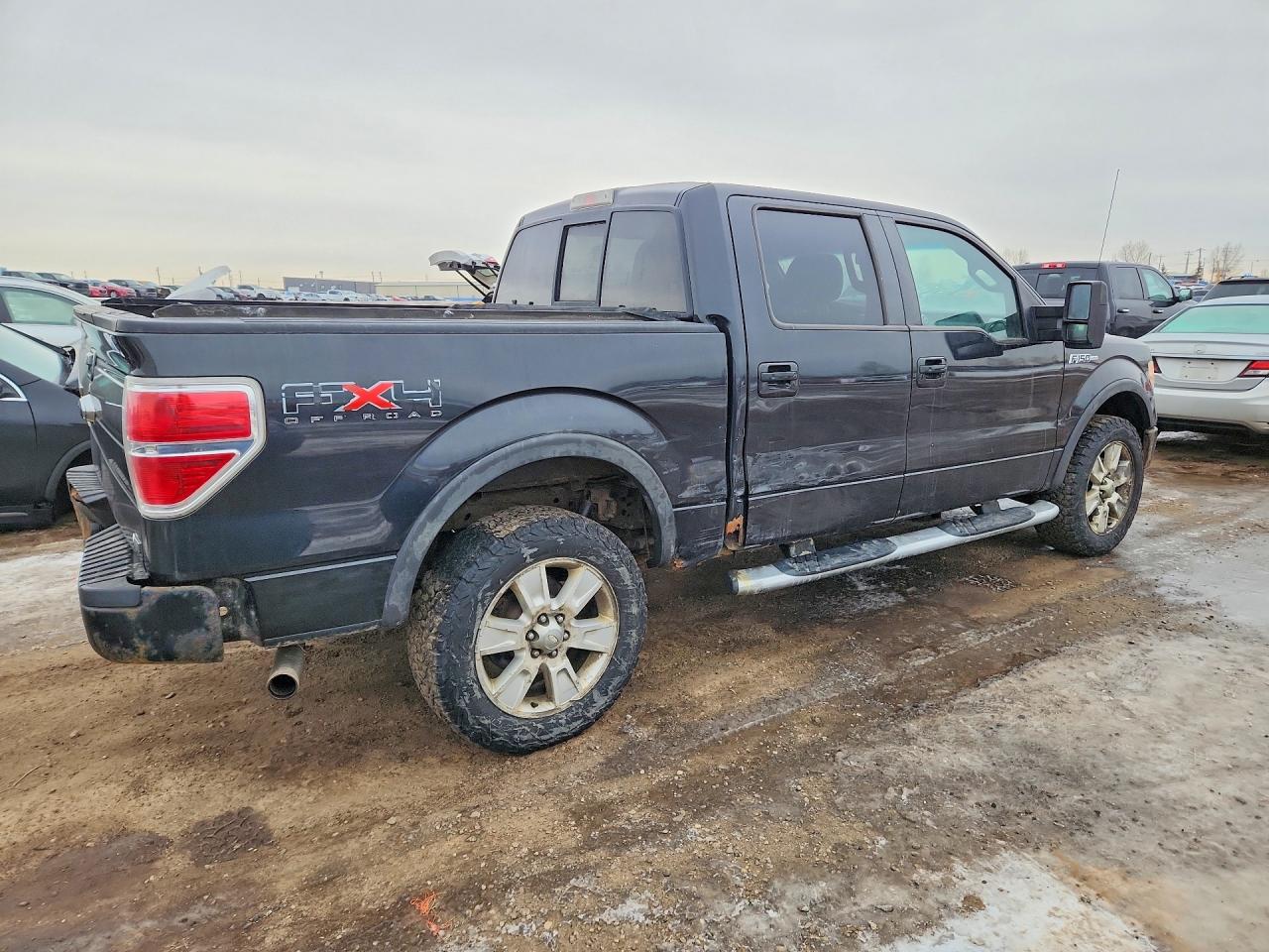 2010 FORD F-150