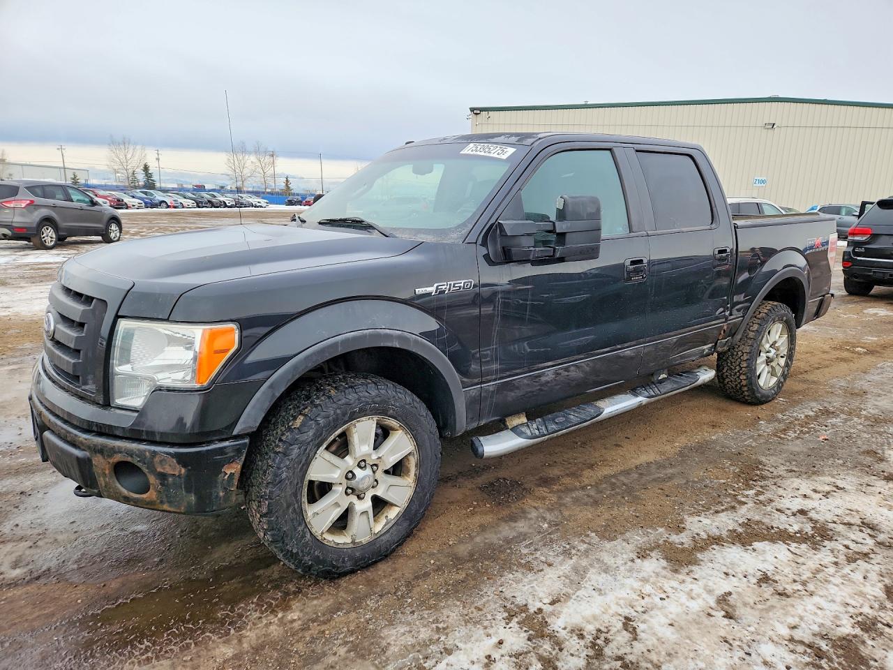 2010 FORD F-150
