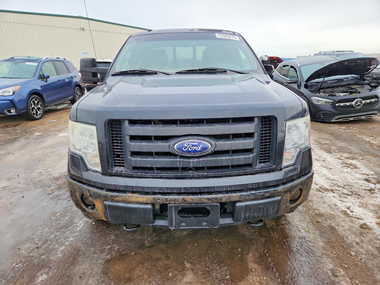 2010 FORD F-150