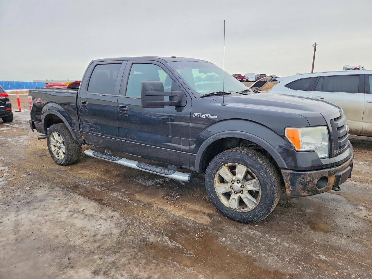2010 FORD F-150