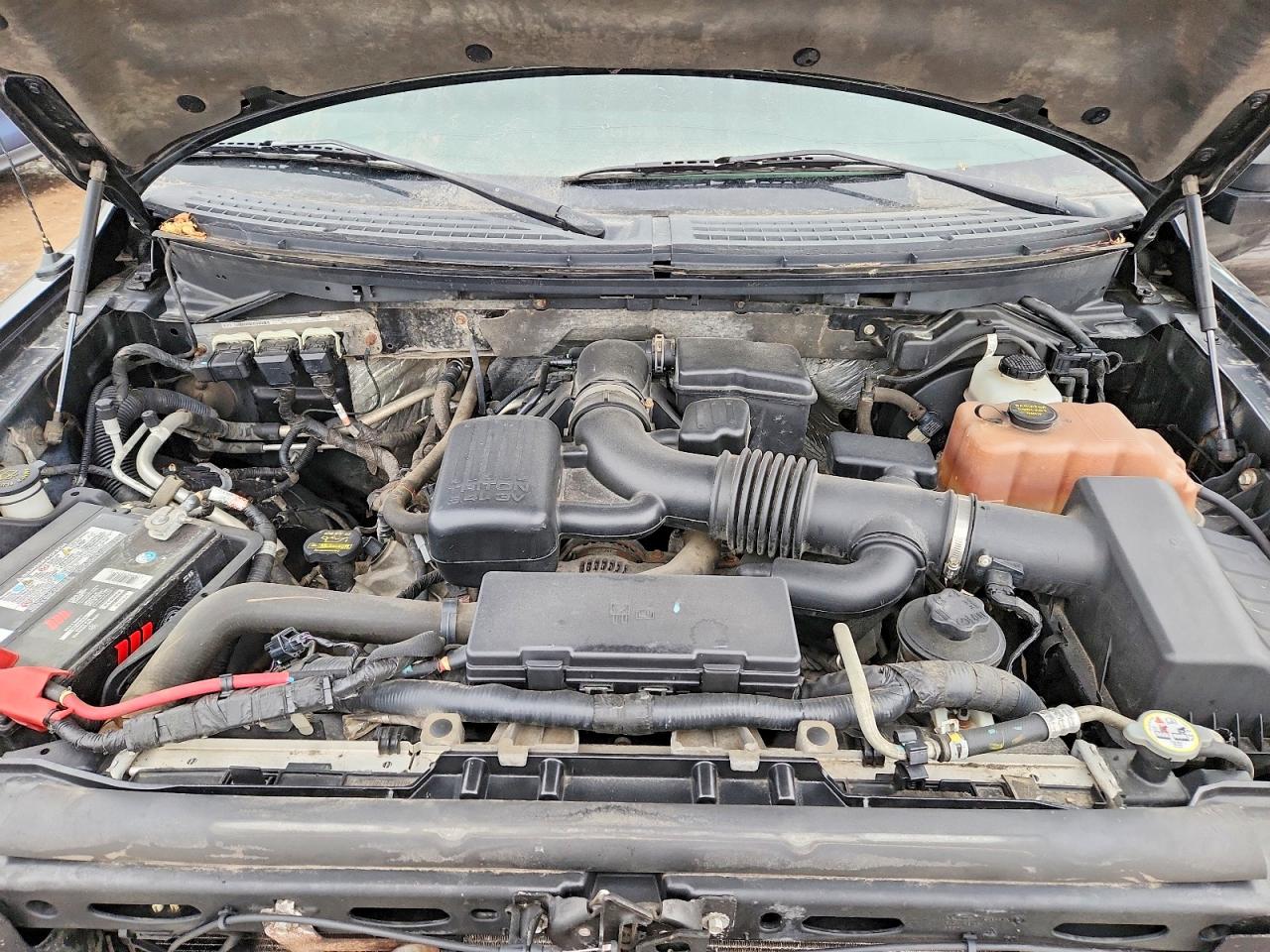 2010 FORD F-150