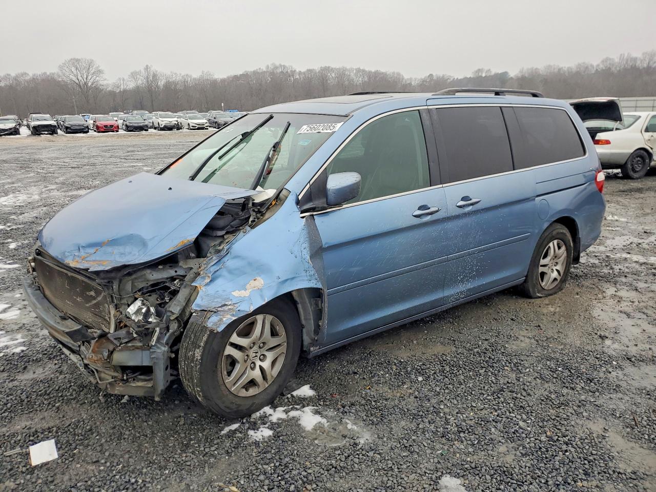 2007 HONDA All Models