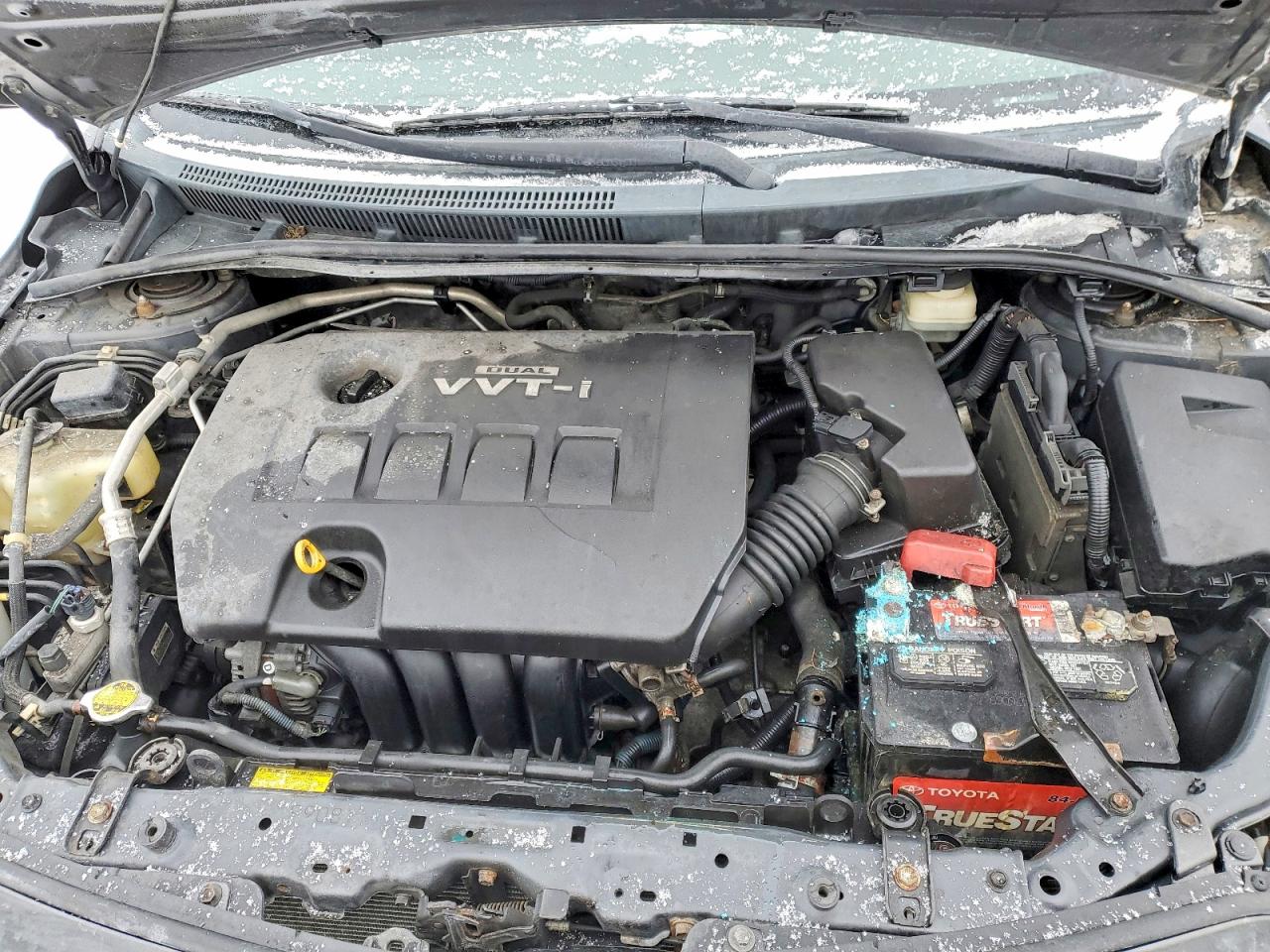 2010 TOYOTA COROLLA