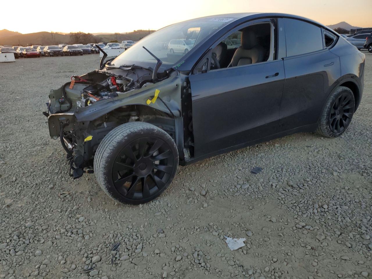 2024 TESLA MODEL Y