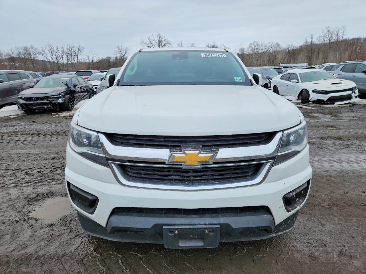 2019 CHEVROLET COLORADO