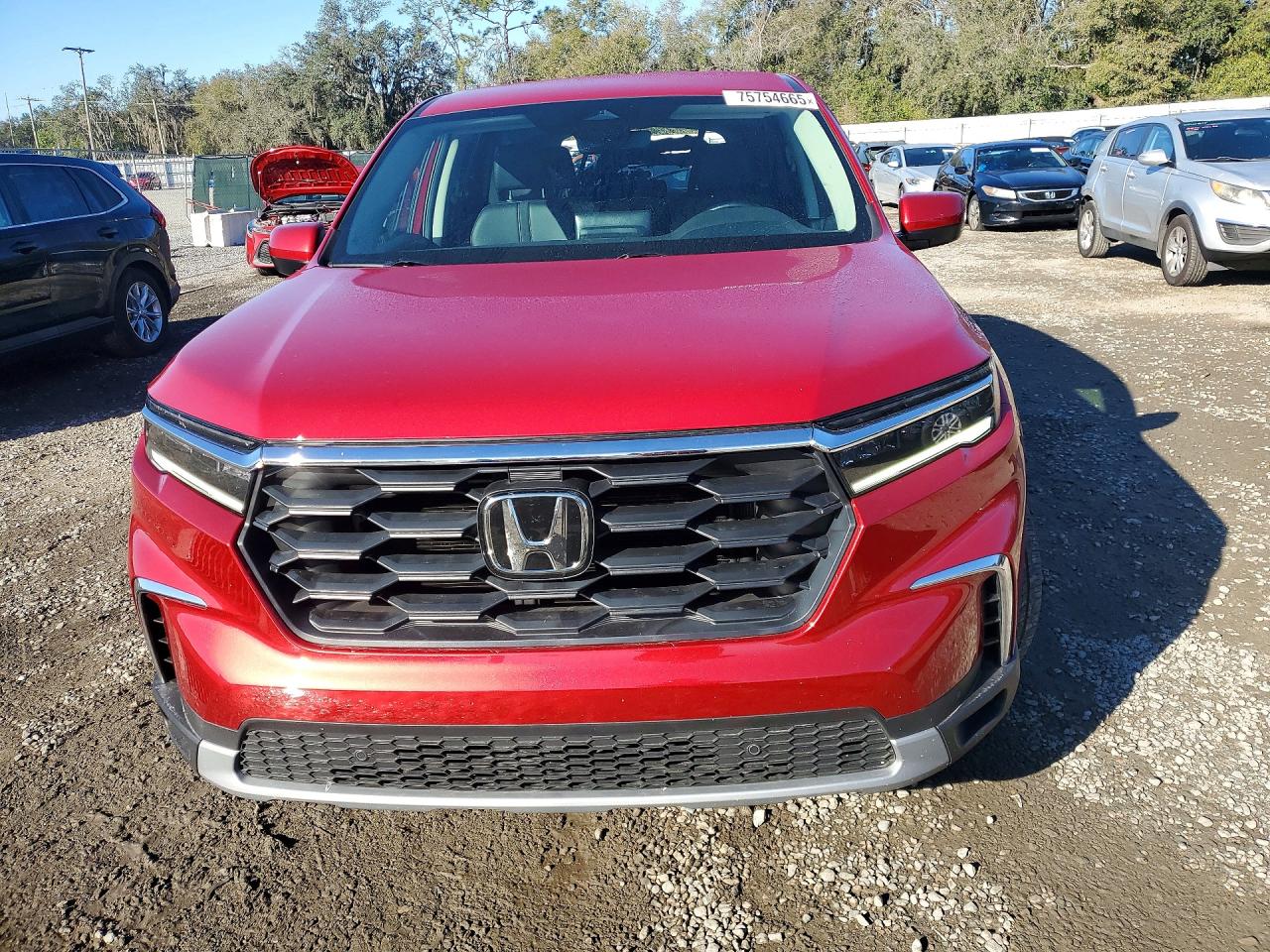 2025 HONDA PILOT