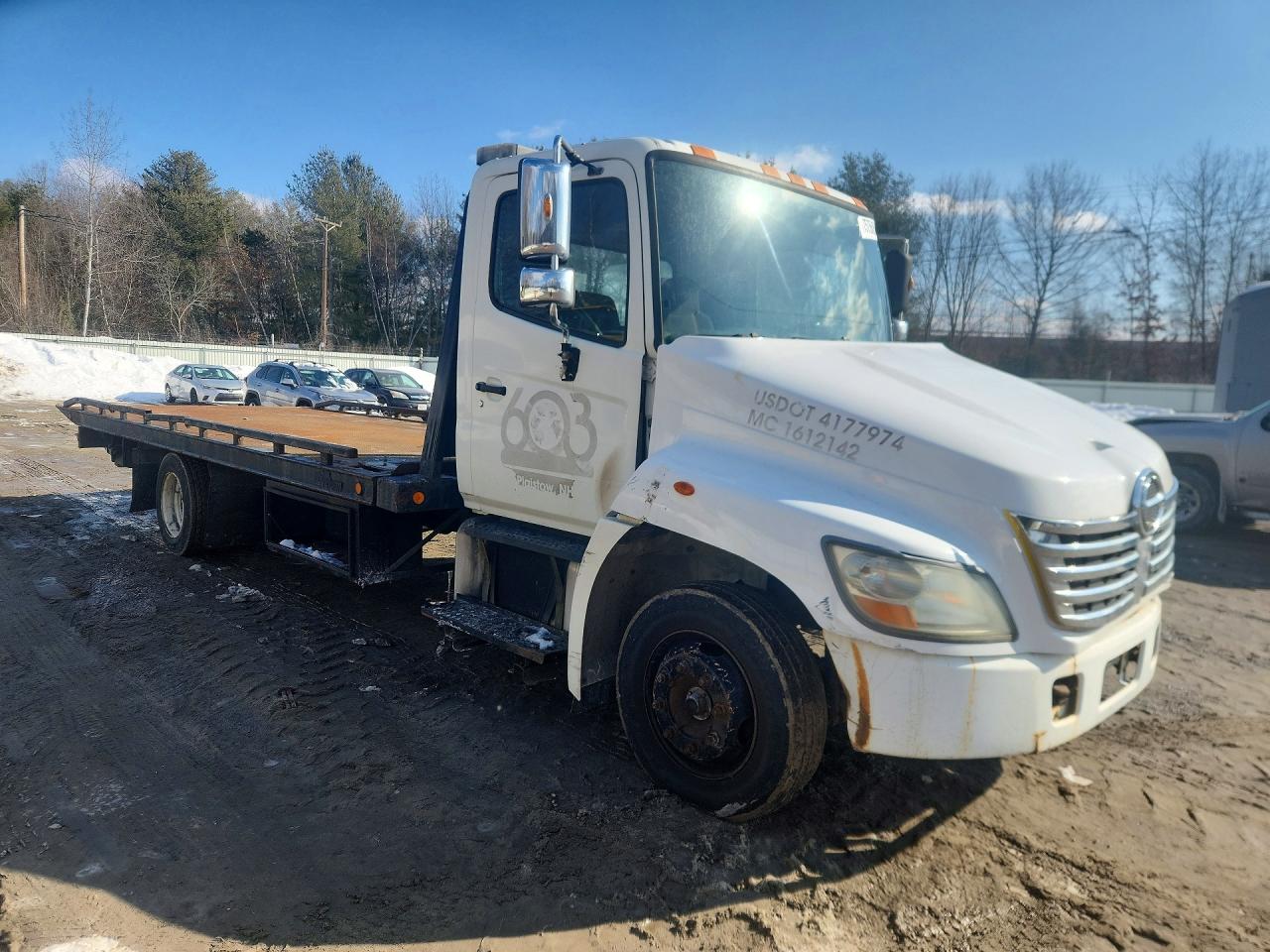 2010 HINO All Models