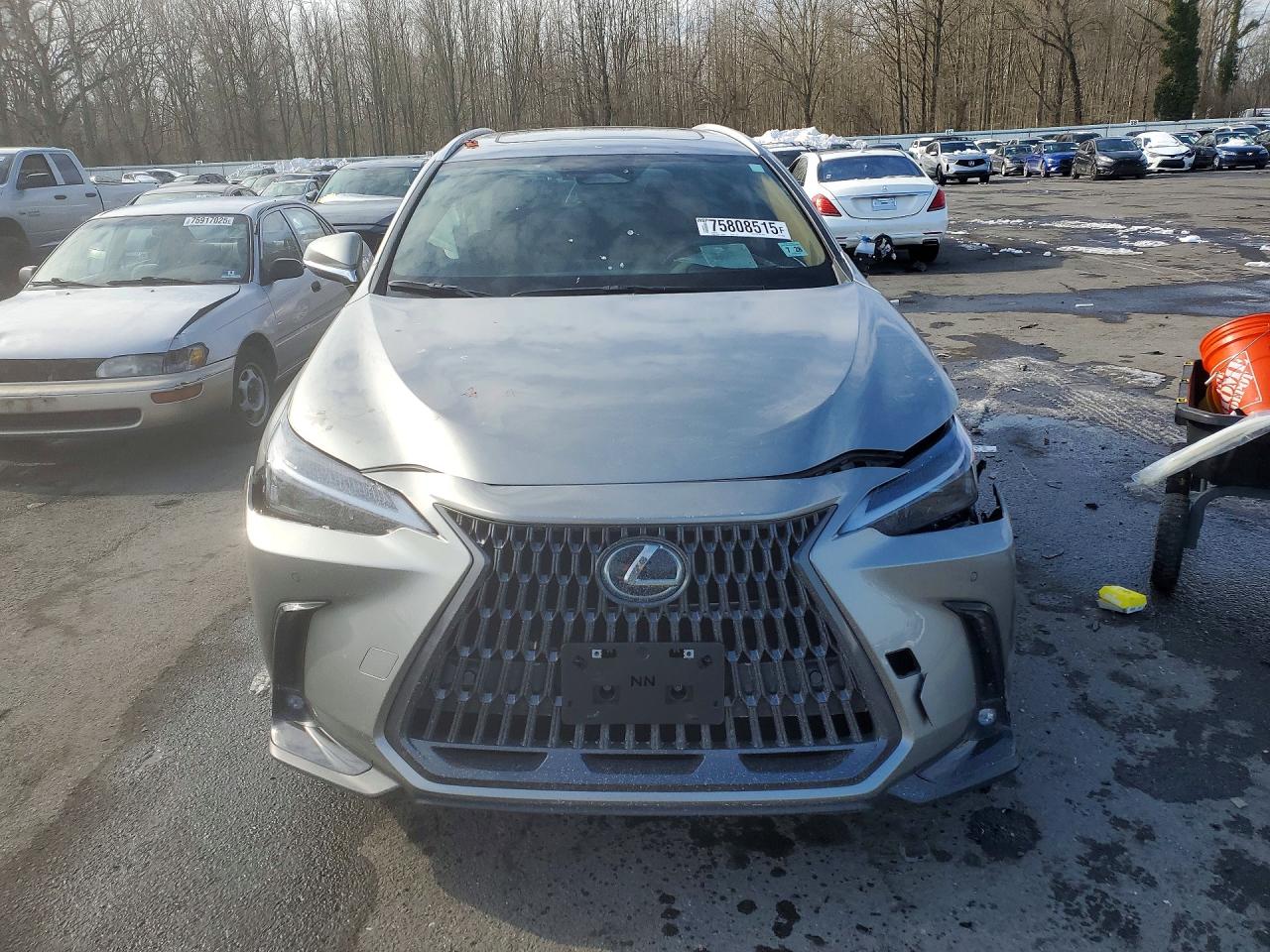 2024 LEXUS NX 350 PRE