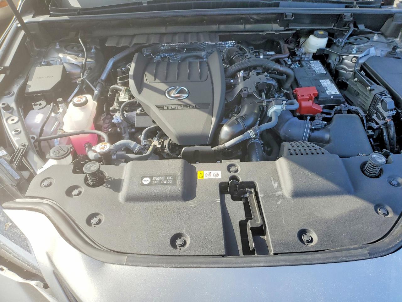 2024 LEXUS NX 350 PRE