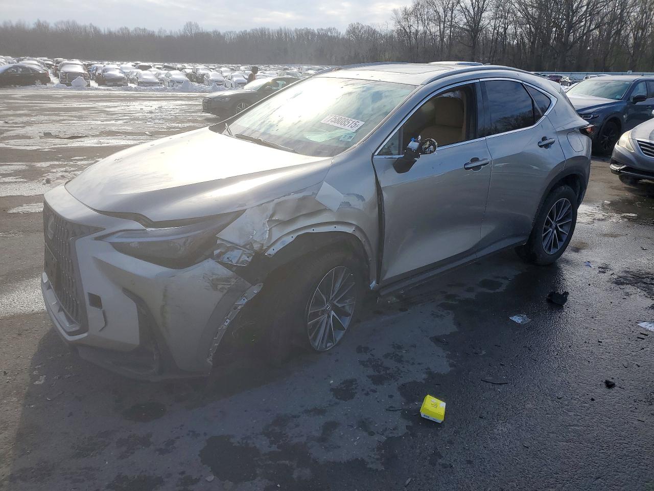 2024 LEXUS NX 350 PRE
