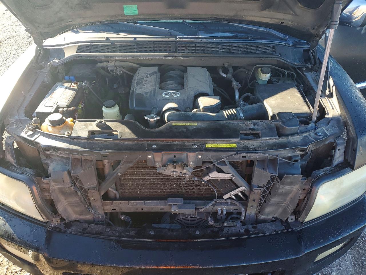 2006 INFINITY QX56