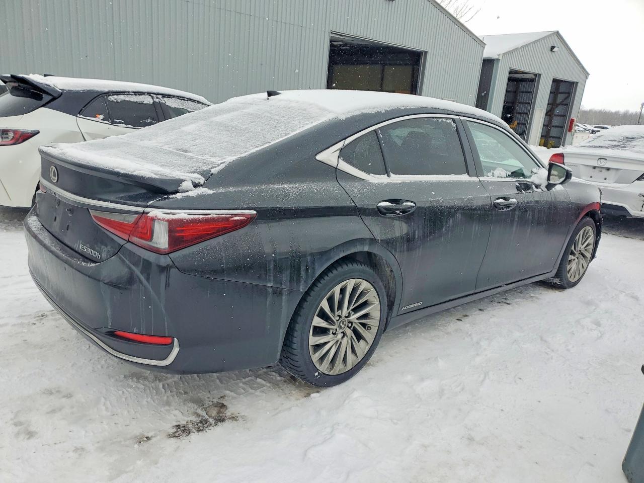 2019 LEXUS ES300