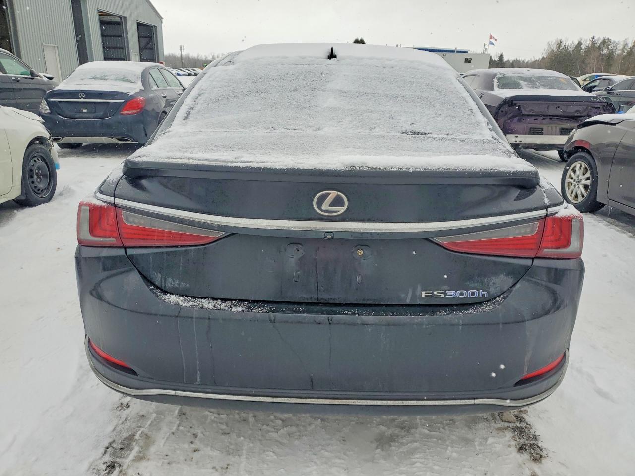 2019 LEXUS ES300