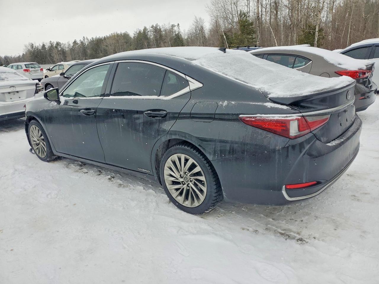 2019 LEXUS ES300