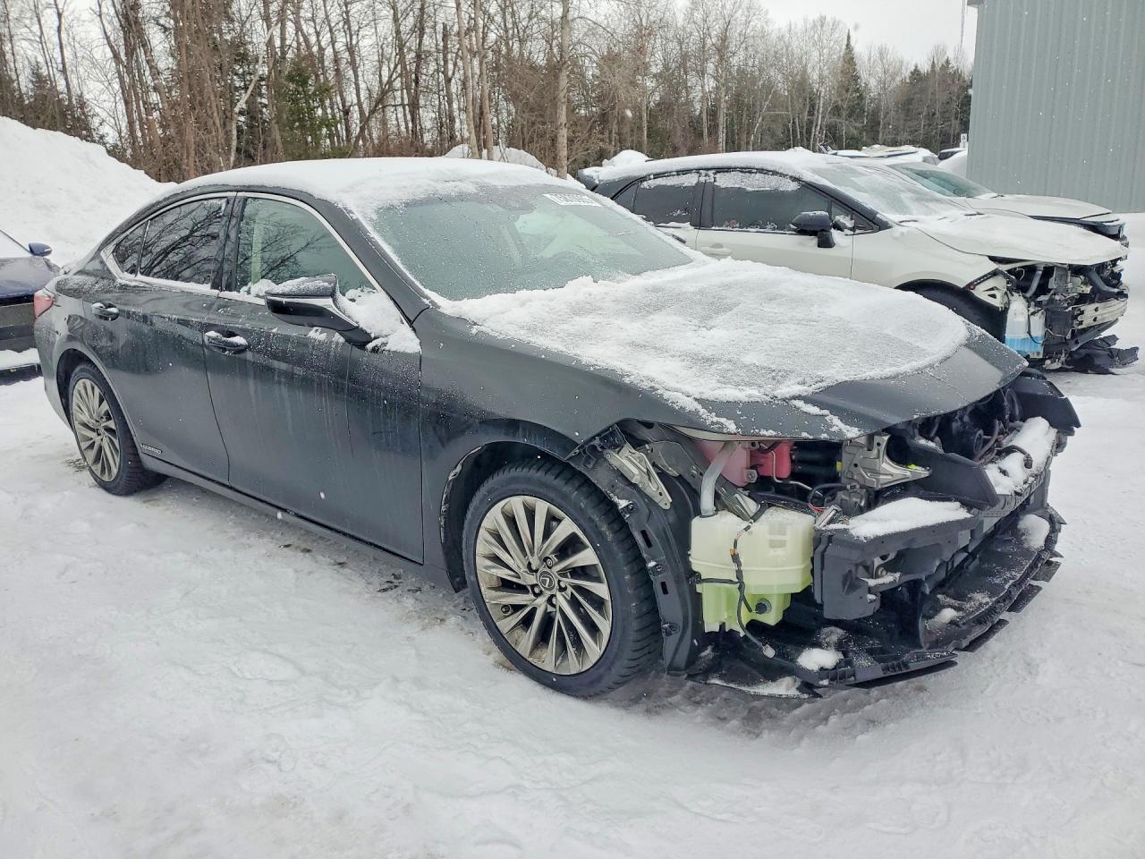 2019 LEXUS ES300